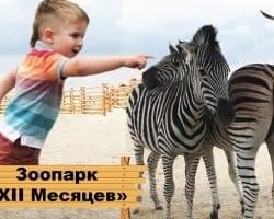 Межигорье